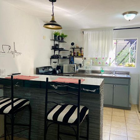 Zebra Studio Tijuana Kültér fotó