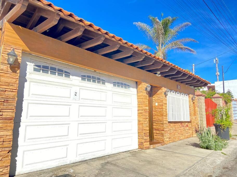Zebra Studio Tijuana Kültér fotó