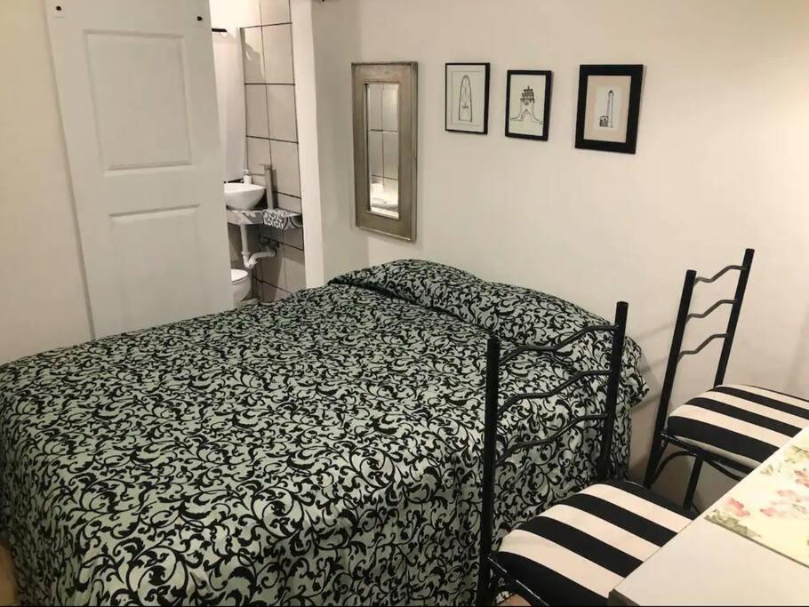 Zebra Studio Tijuana Kültér fotó