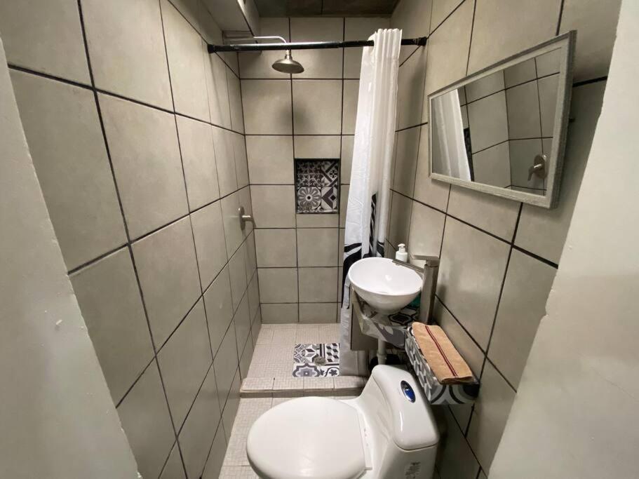 Zebra Studio Tijuana Kültér fotó