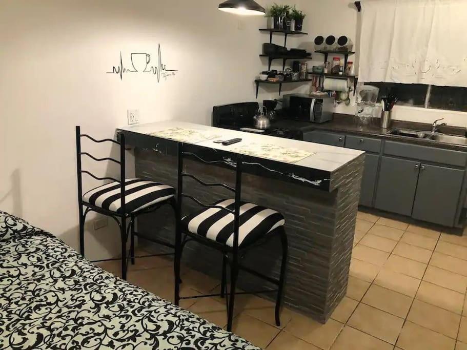 Zebra Studio Tijuana Kültér fotó