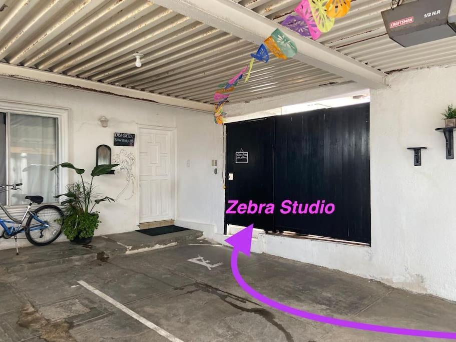 Zebra Studio Tijuana Kültér fotó