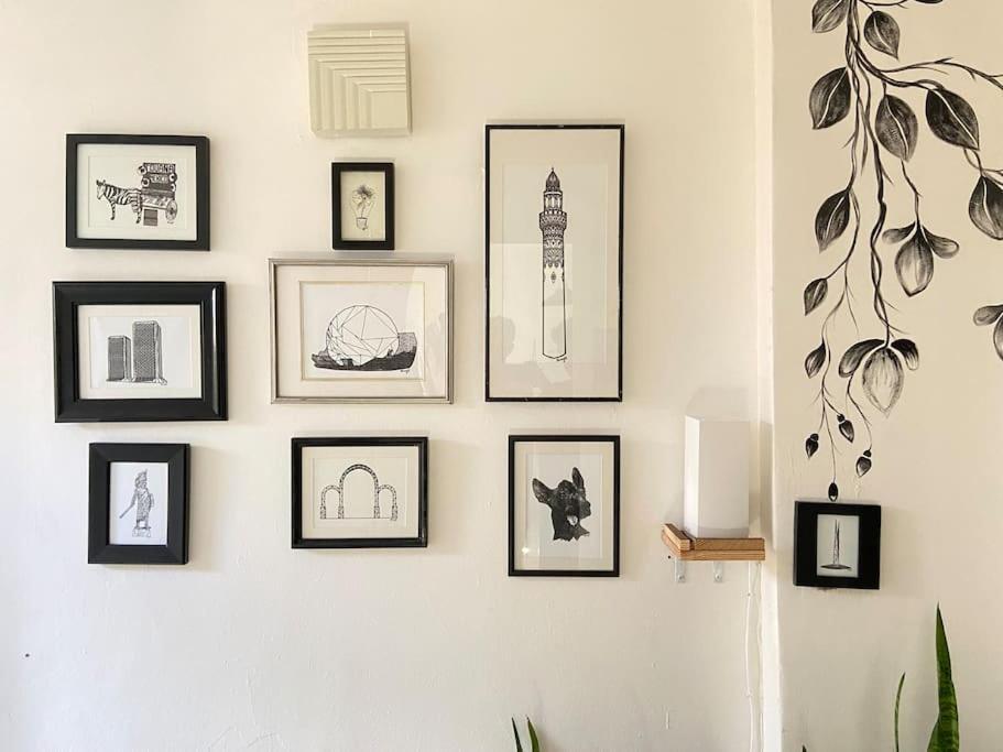 Zebra Studio Tijuana Kültér fotó
